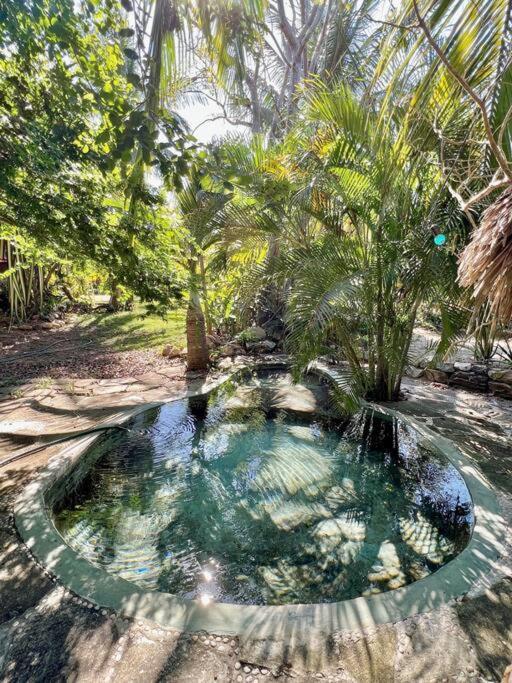 Willa Casa Kuul, Elegant Fusion Of House And Garden. Puerto Escondido  Zewnętrze zdjęcie